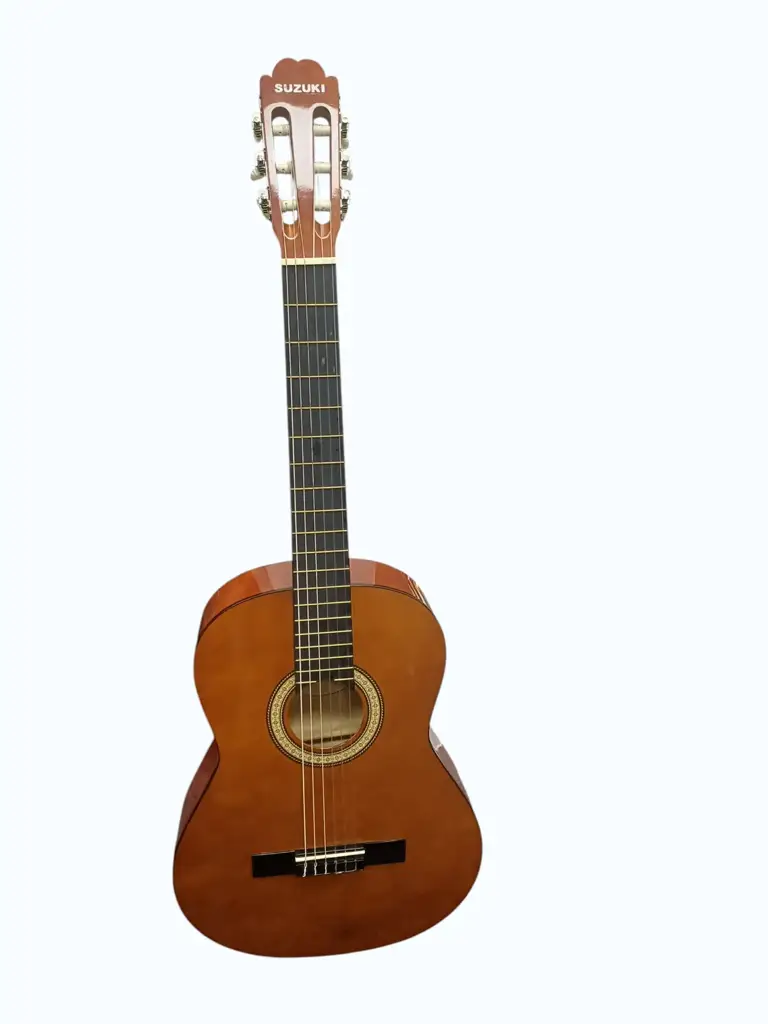 Szuki Sg-3Bnl Acoustic Guitar
