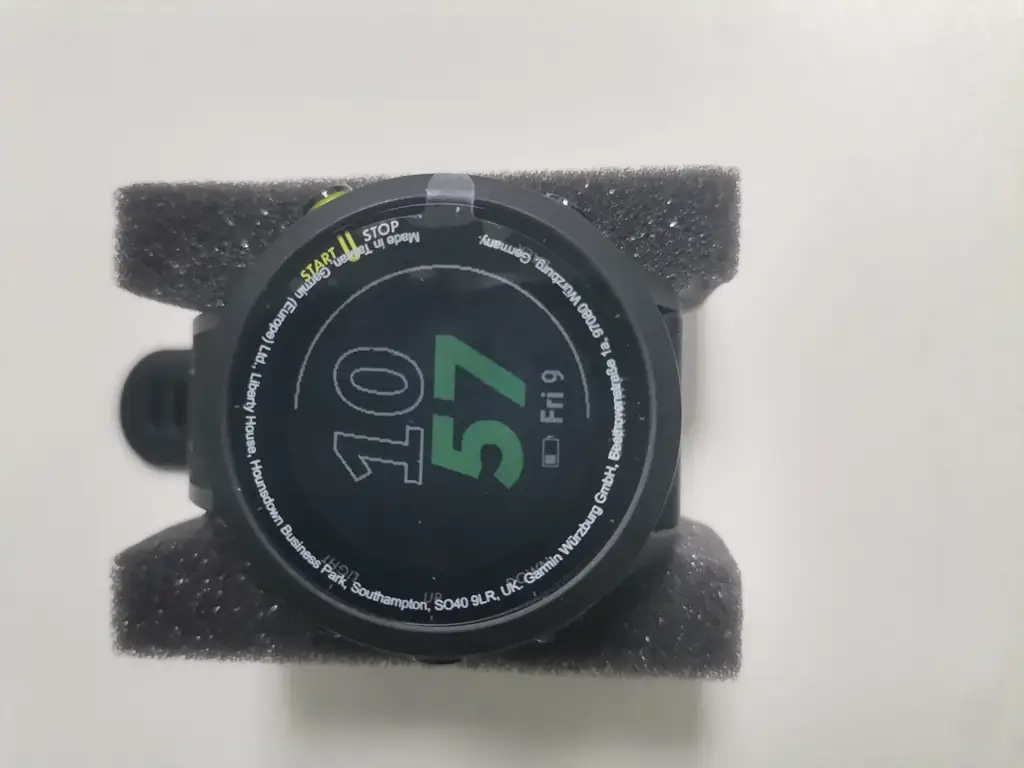 Garmin Forerunner 55 Smartwatch - Black