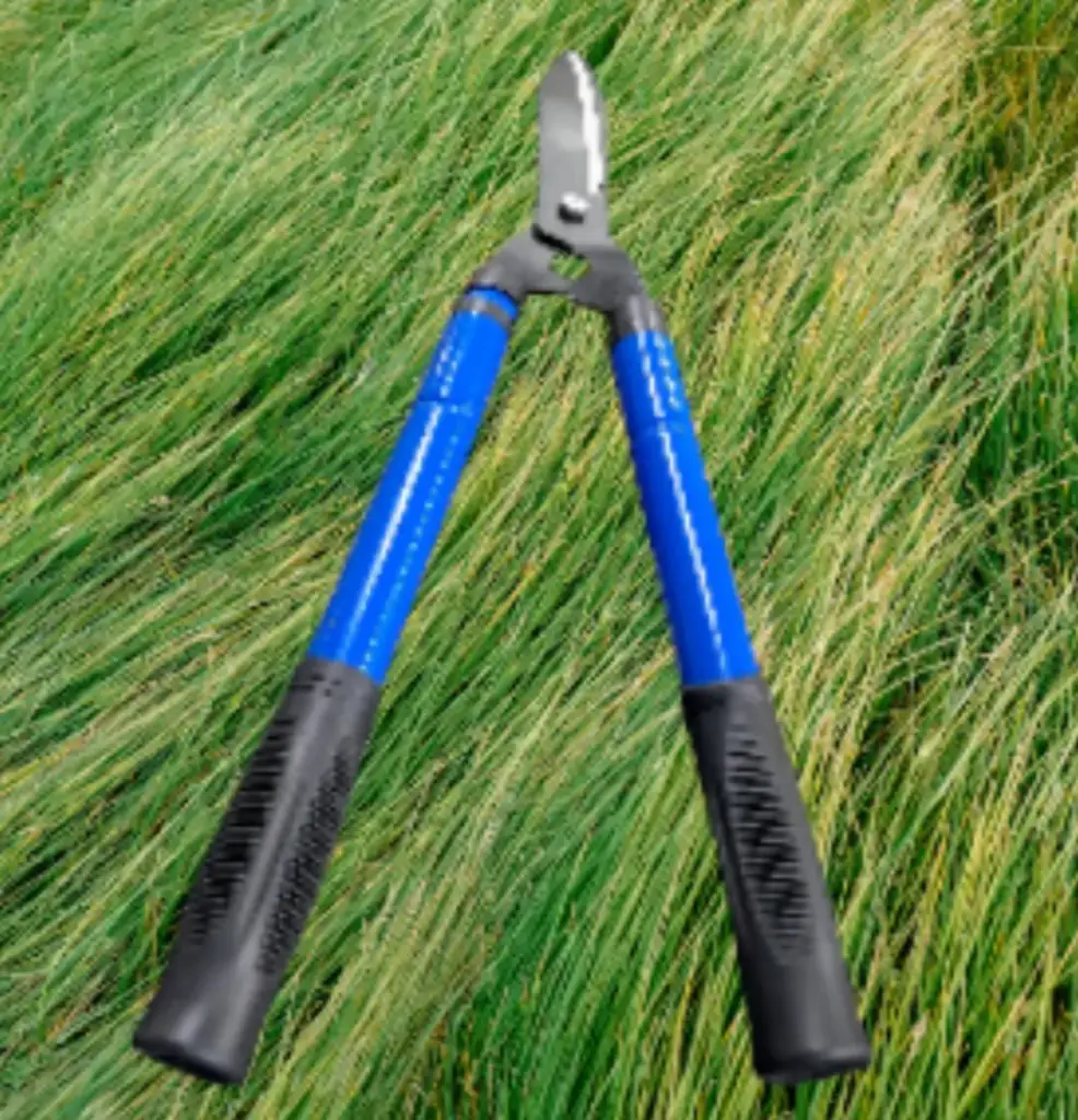 Garden Shears