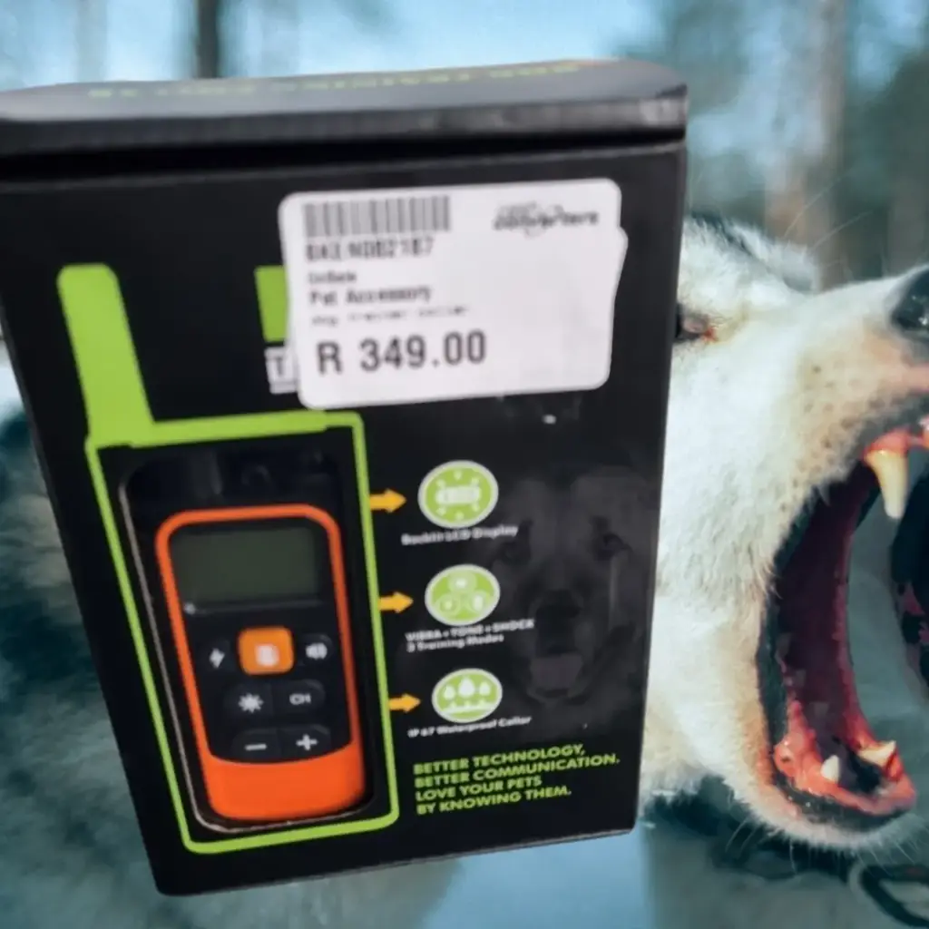 Dog Training Collar