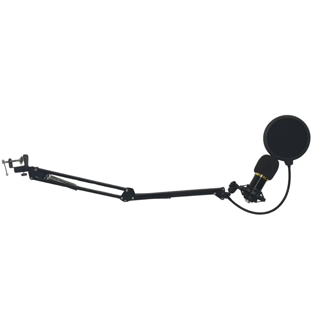 Ohm Condenser Microphone - View 2