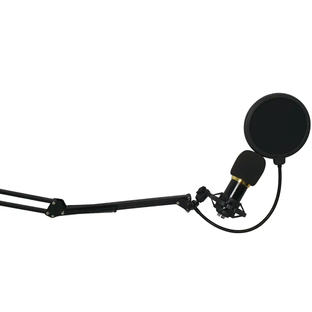 Ohm Condenser Microphone - View 3