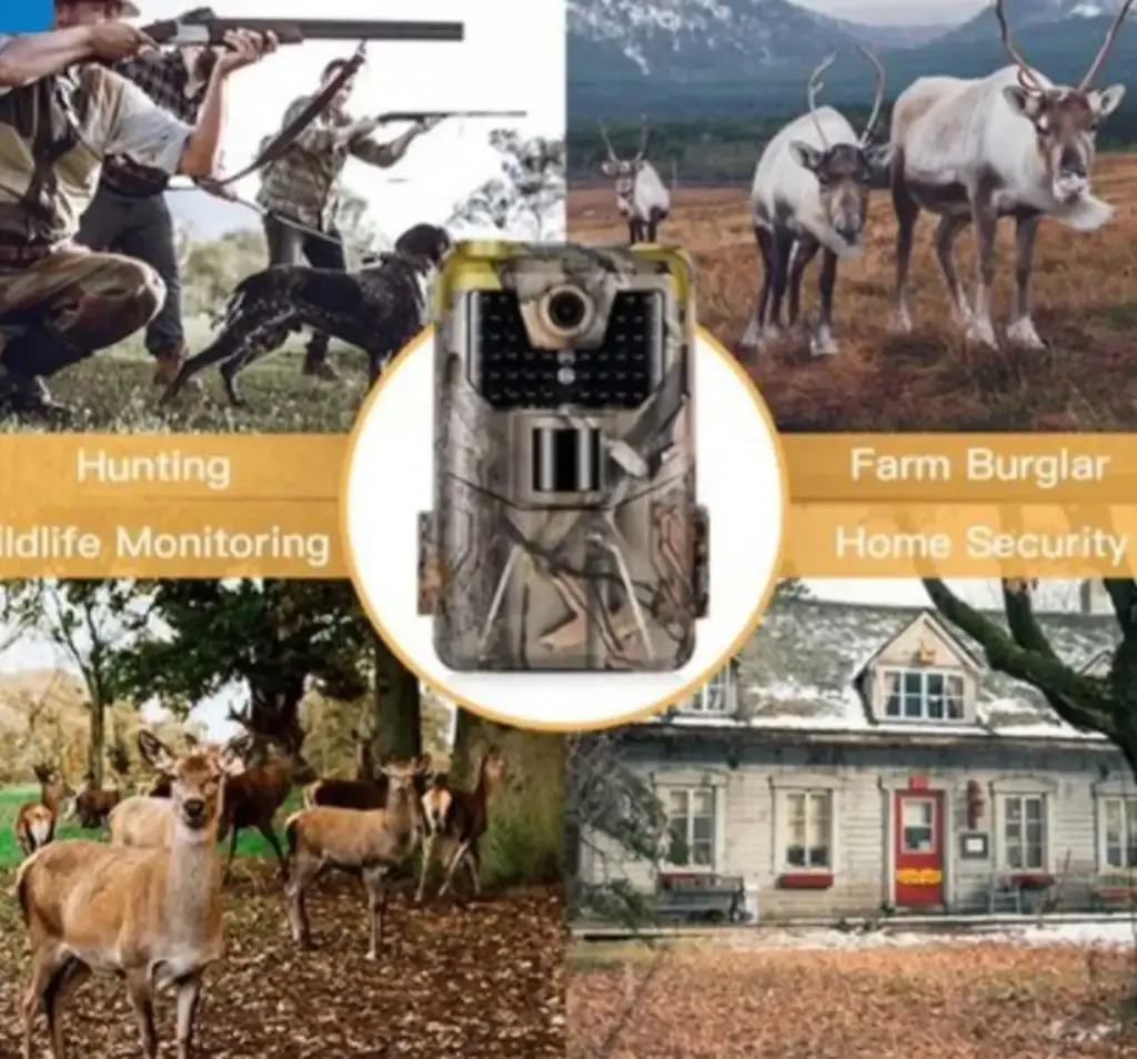 Remote Trail Camera Q-Dl101 - View 2