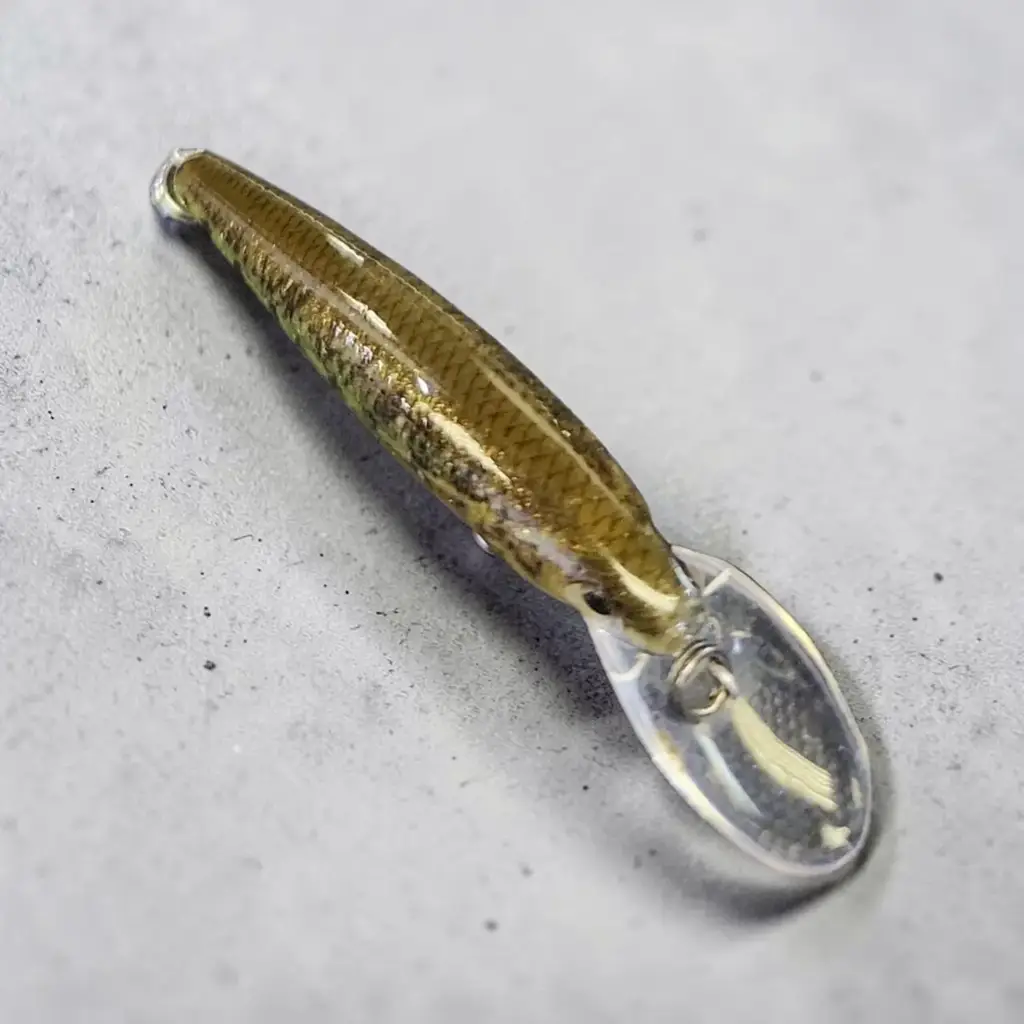 Fishing Lure With No Hook