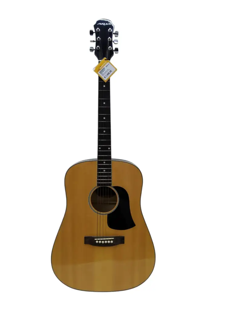 Aria Aw-20N Acoustic Guitar With Bag | Beginner Acoustic Guitar
