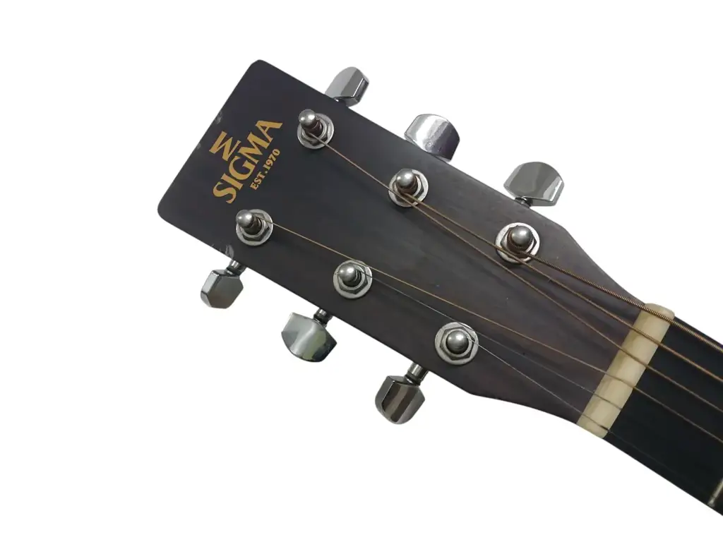 Sigma Dmel Left-Handed Acoustic Guitar - View 2