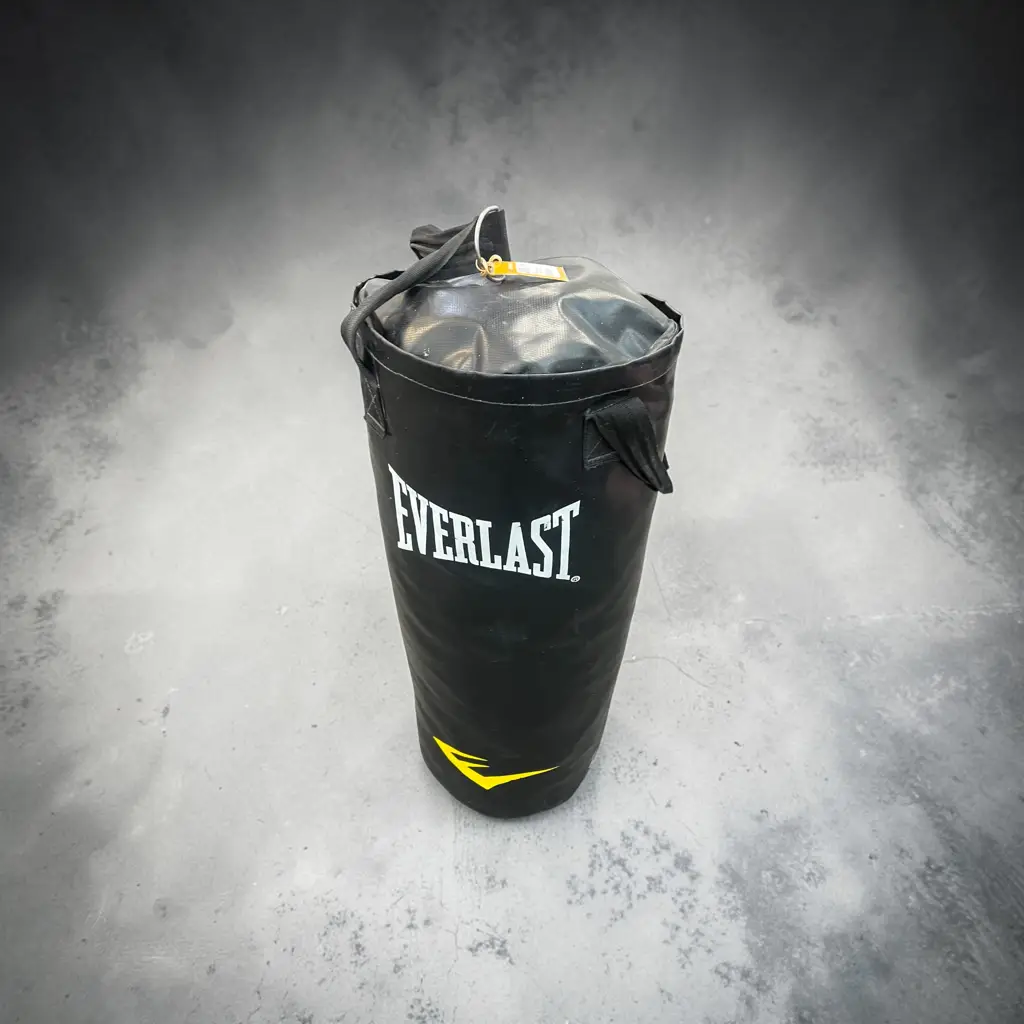 Everlast Punching Bag - View 2
