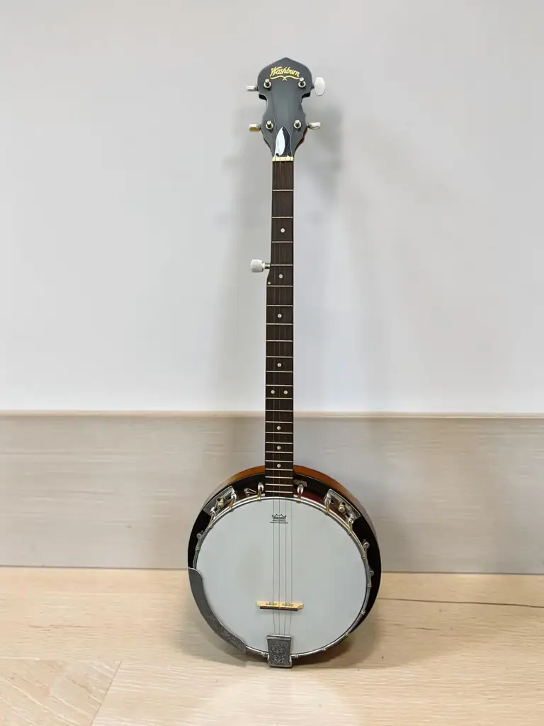 Washburn N-8 Guitar