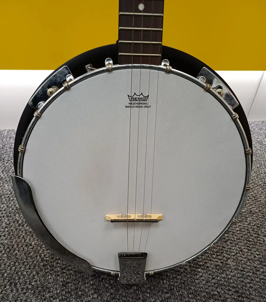 Washburn N-8 Guitar - View 3