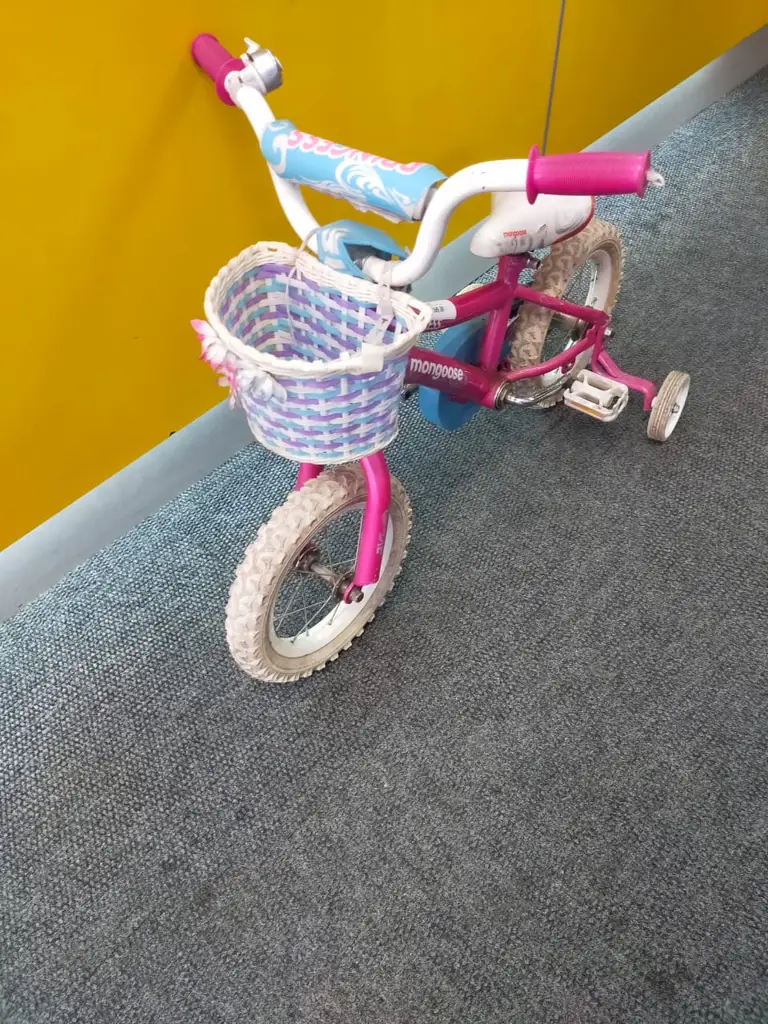 Mongoose Princess Bike - View 3