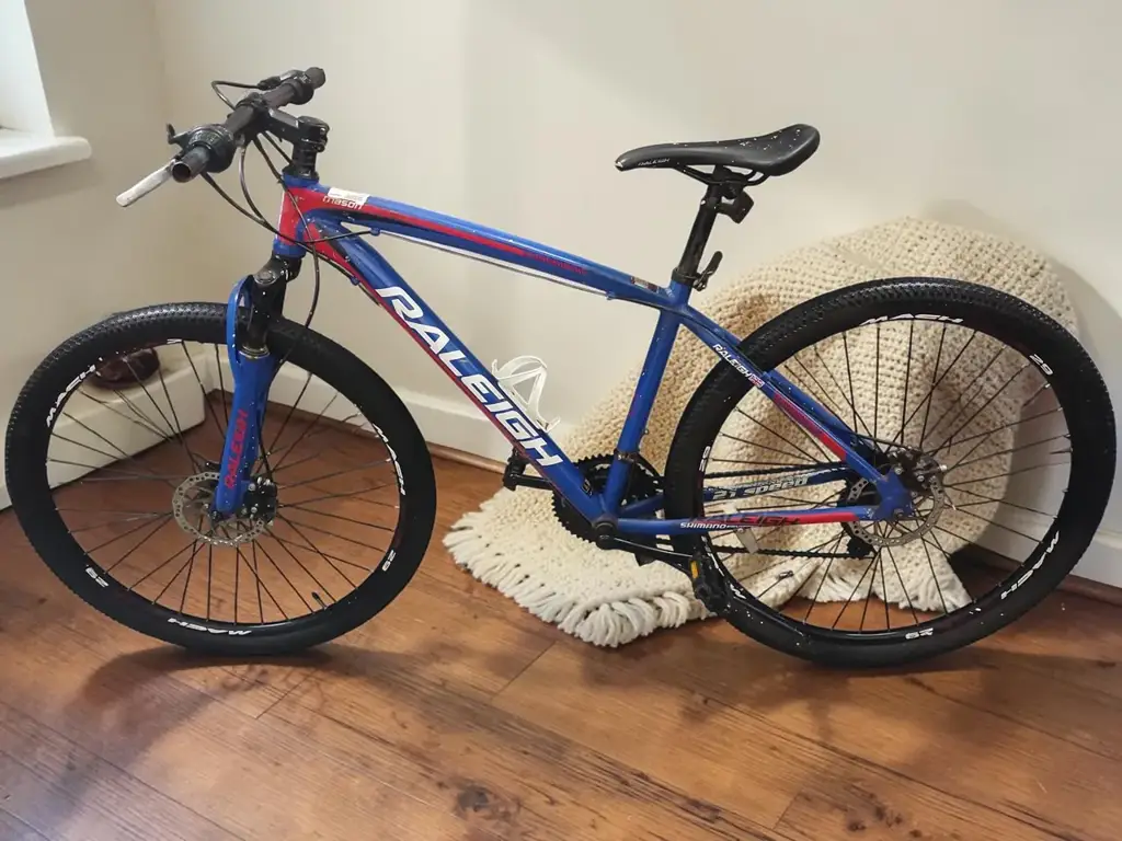 Raleigh Mason 29 Mountain Bike