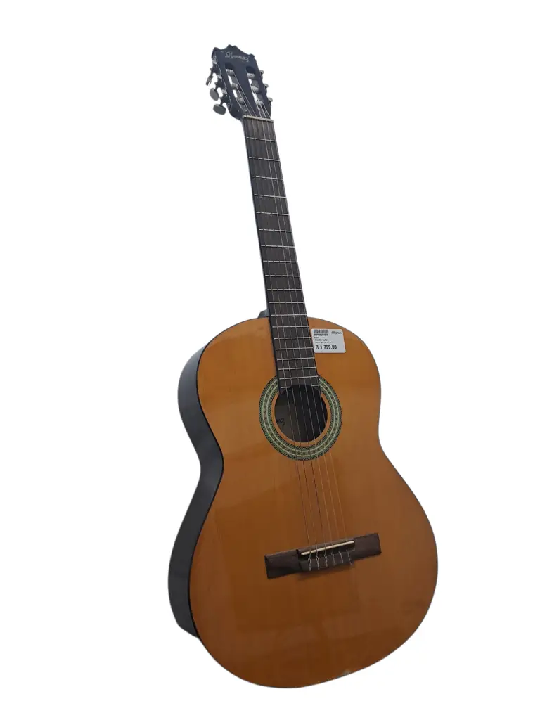 Ibanez Acoustic Guitar - View 2