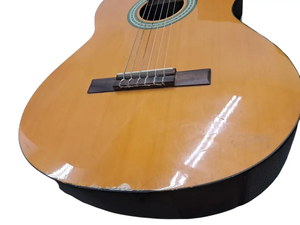 Ibanez Acoustic Guitar - View 3