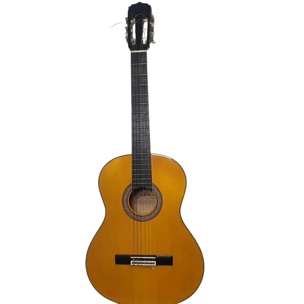 Aria Ak-20 Acoustic Guitar