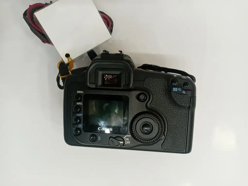 Camera Body Canon Eos 20D - View 2