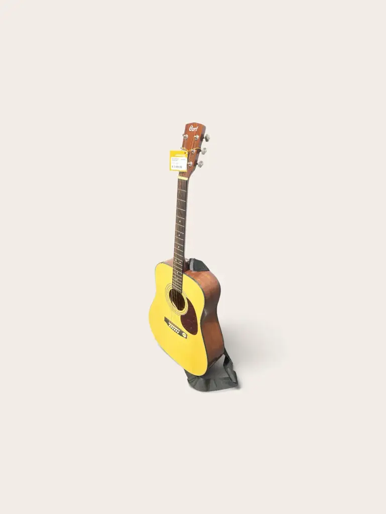 Cort Earth Pack Acoustic Guitar - View 2