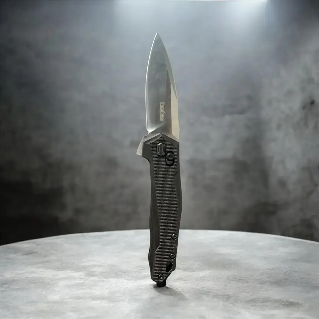 Kershaw 2041 D2 Knife