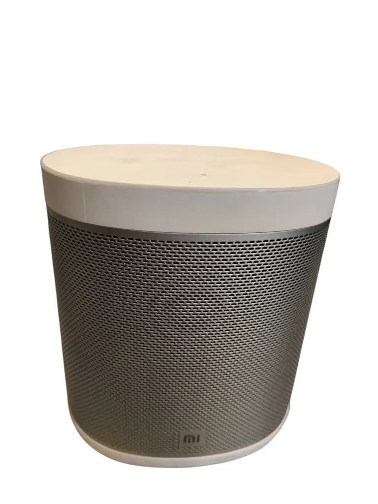 Mini Smart Speaker