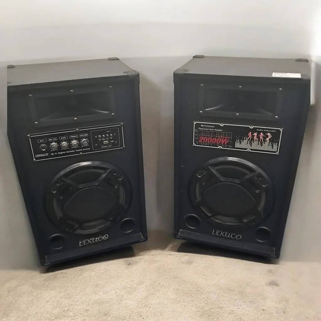 Lexuco 2 X 8 Inch Speakers
