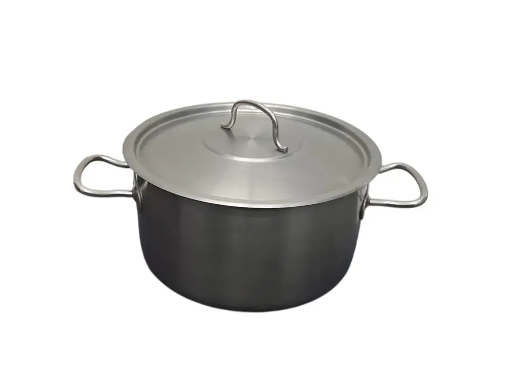 Punjadas 24Cm Stainless Steel Pot