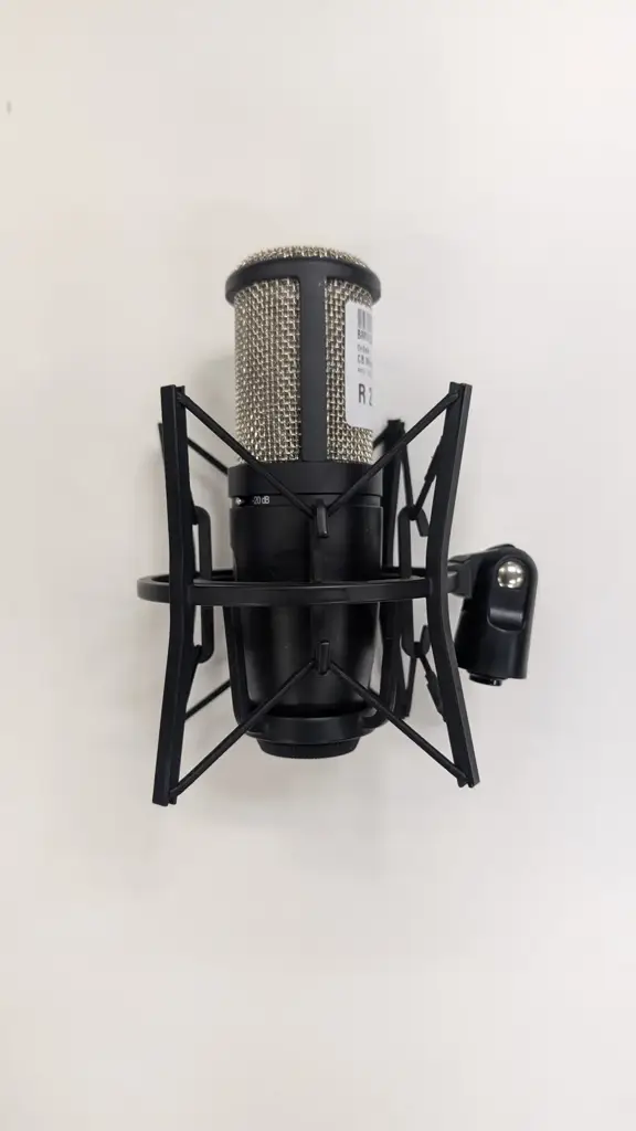 Akg Project Studio P220 Large-Diaphragm Cardioid Condenser Microphone - View 2