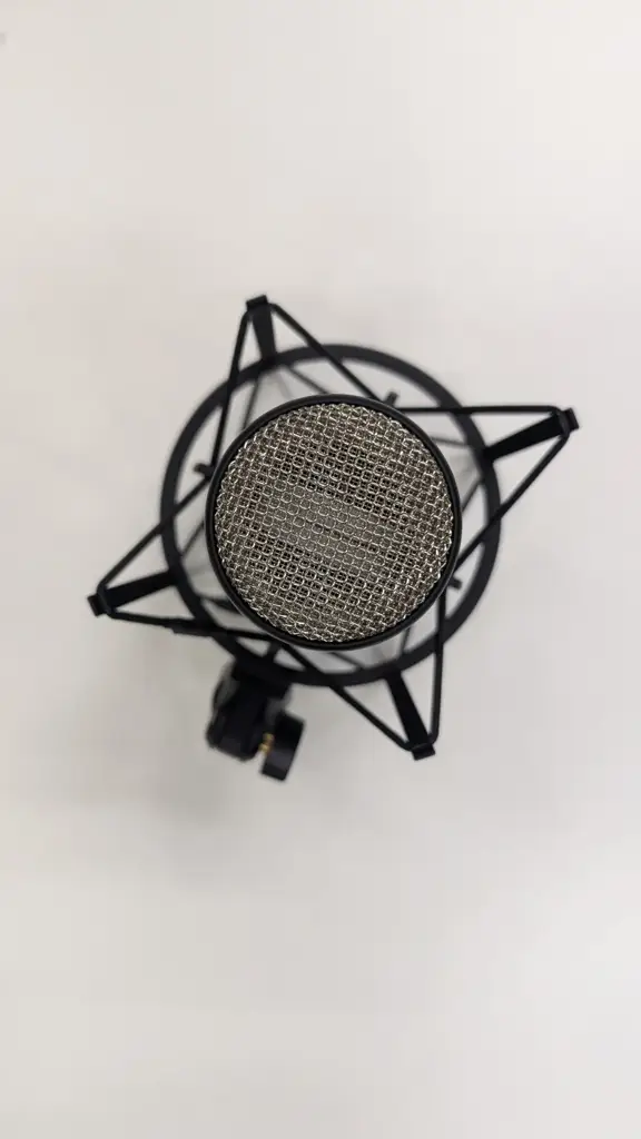 Akg Project Studio P220 Large-Diaphragm Cardioid Condenser Microphone - View 3