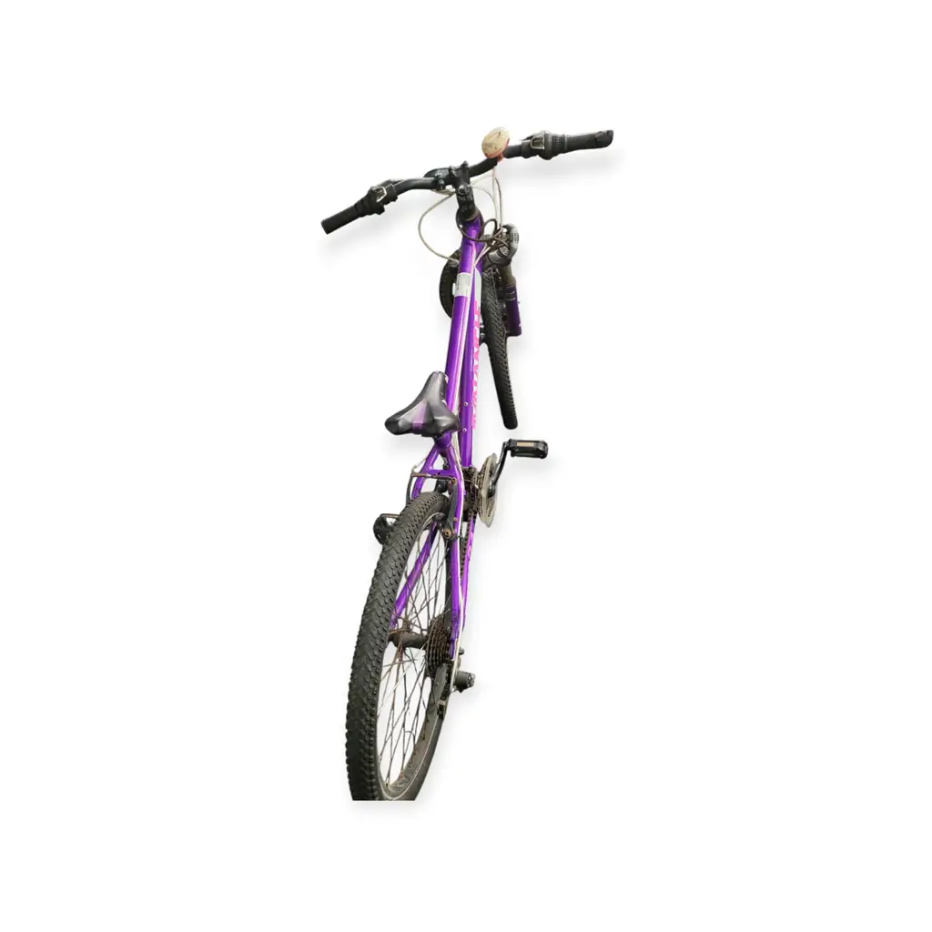 Avalanche 24 Inch Cosmic Bike - View 3