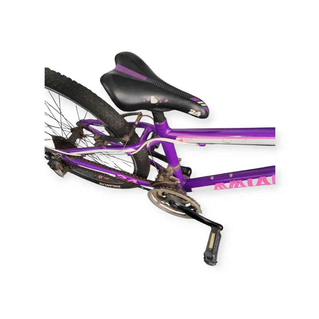 Avalanche 24 Inch Cosmic Bike - View 4