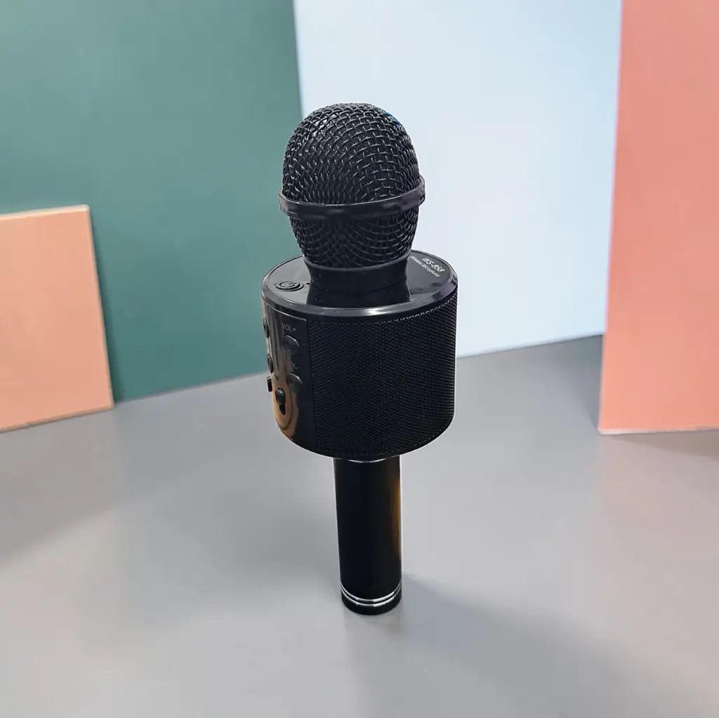 Cordless Microphone - View 2