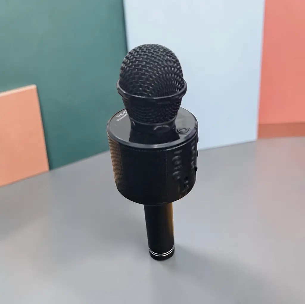 Cordless Microphone - View 3