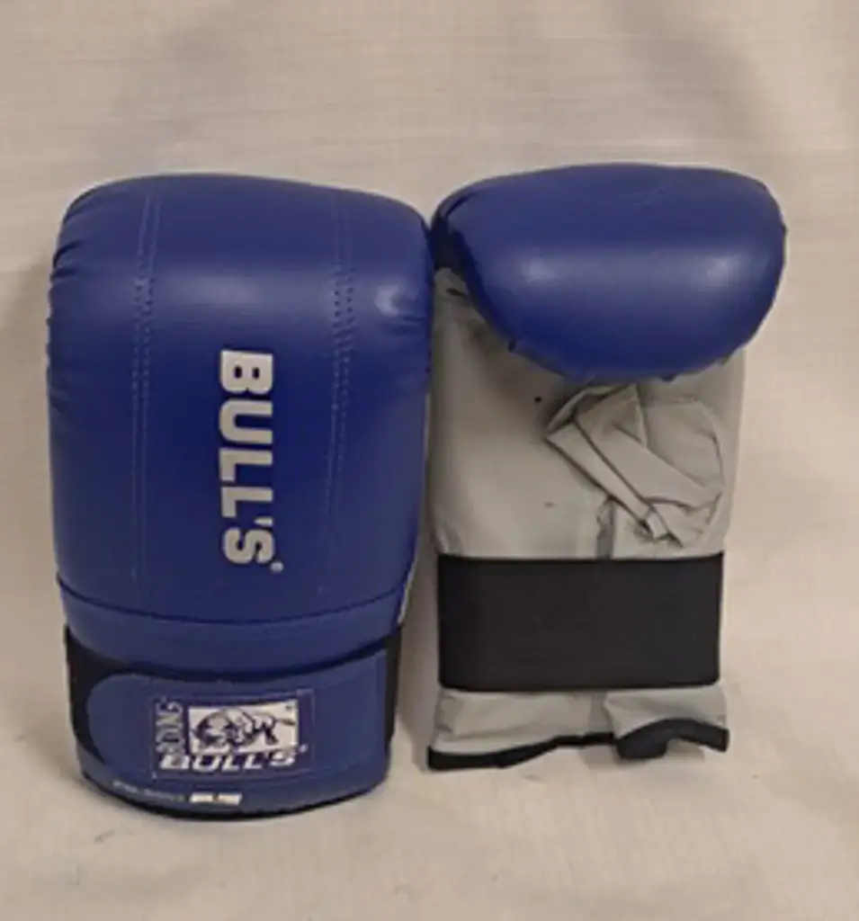 Bull Boxing Gloves - View 2