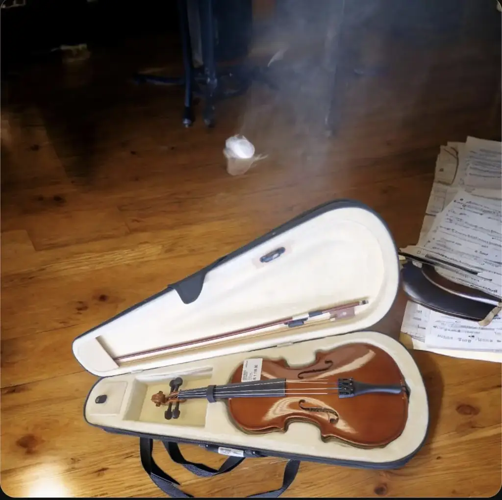 Sanchez R2034 Violin Bow