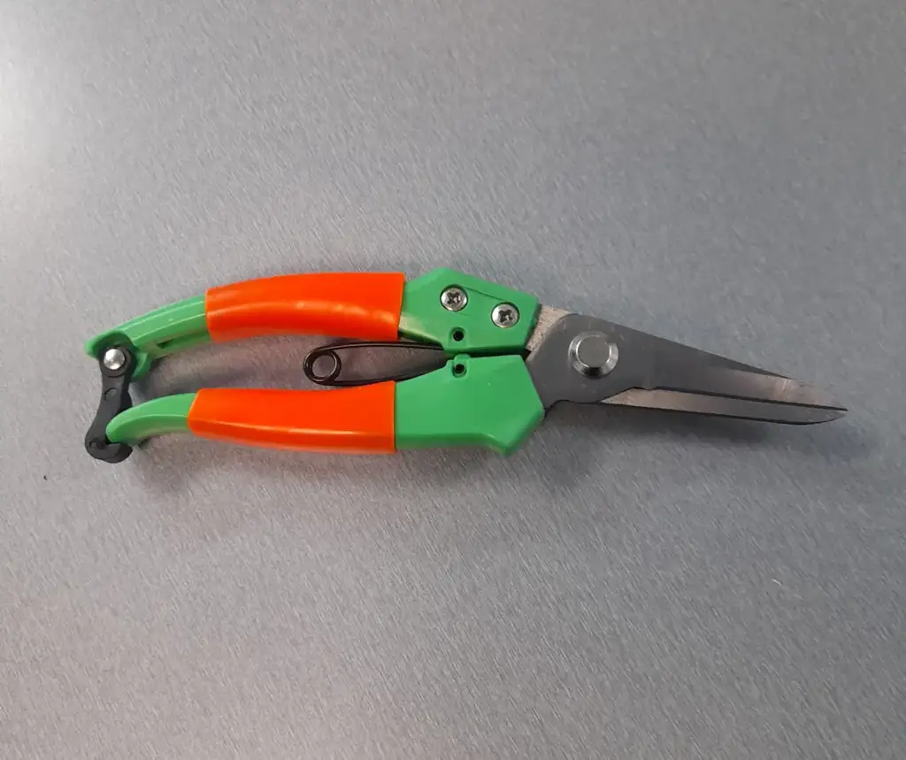 Pruning Shears 8 Inch