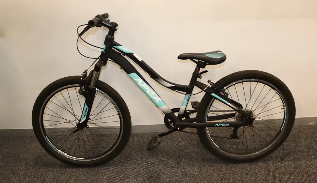 Apex A400 24" Mountain Bike - View 2