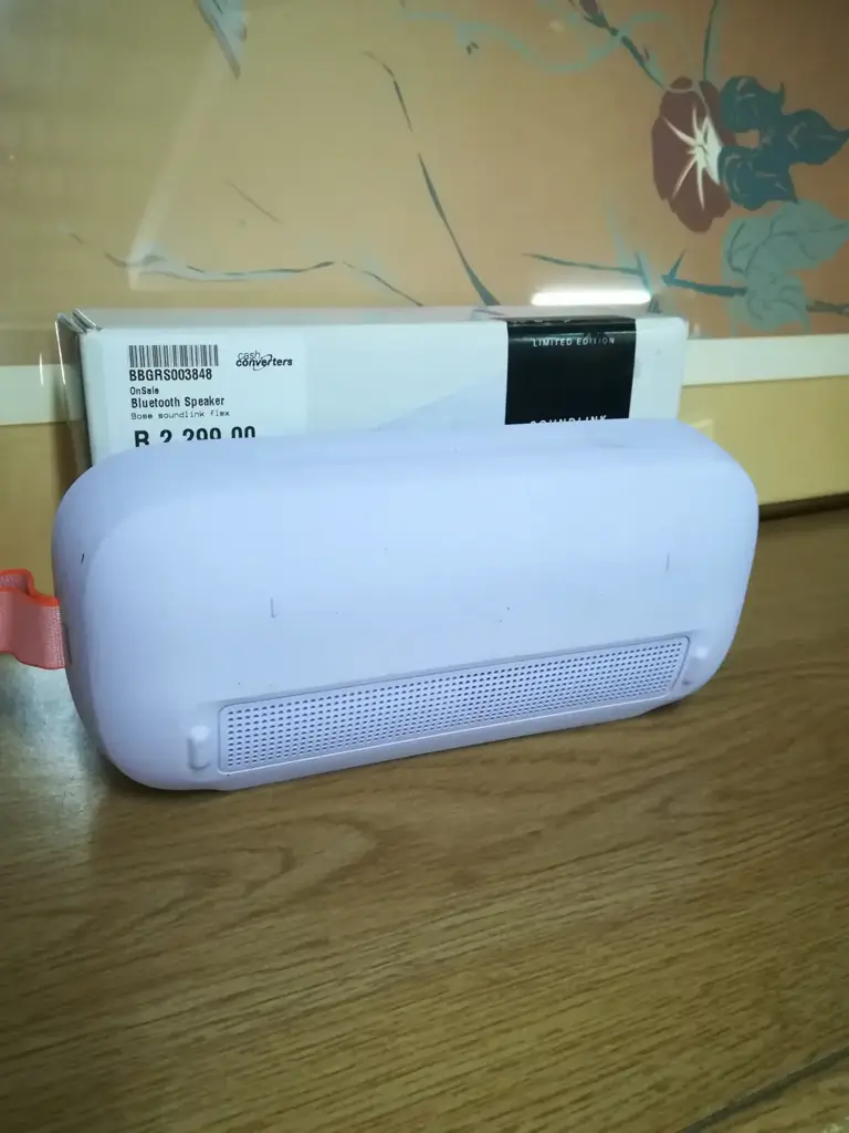 Bose Soundlink Flex - View 2