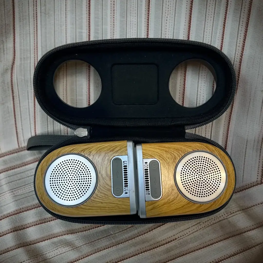 Ovevo Tango D10 Magnetic Adsorption Bluetooth Speakers