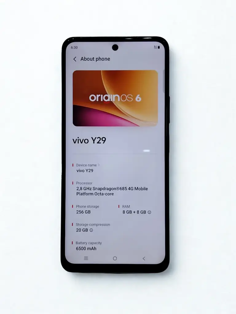 Vivo Y29 Mobile Phone