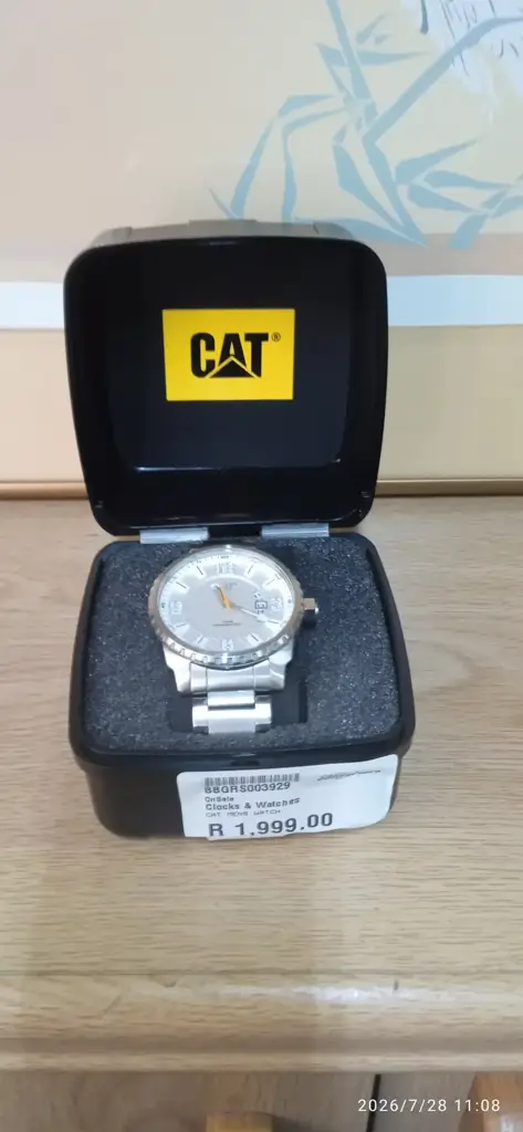 Cat Watch - View 2