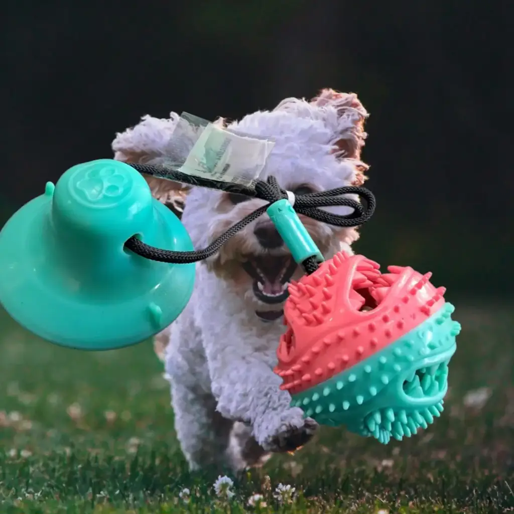 Pet Chew Toy