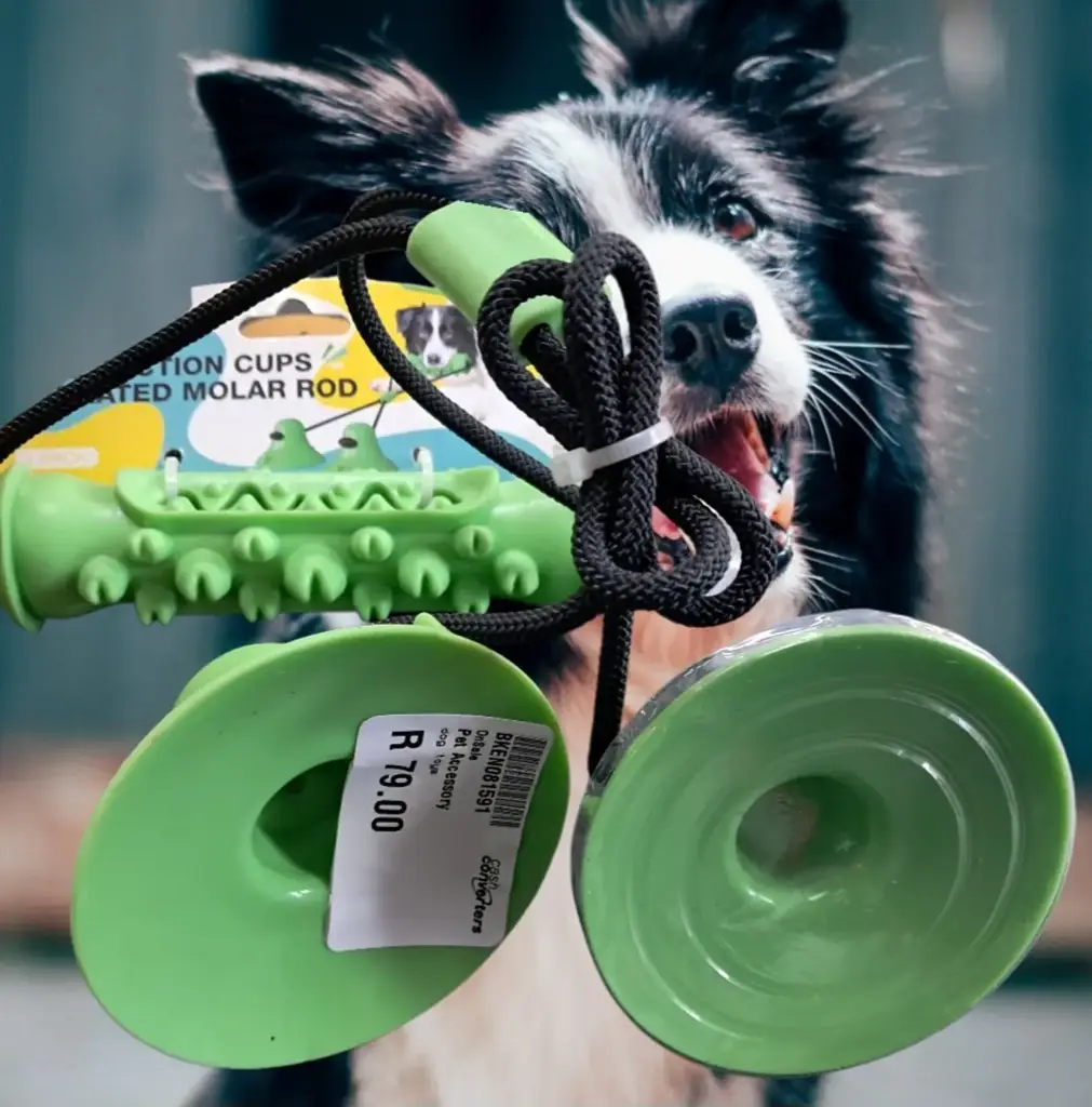 Pet Chew Toy