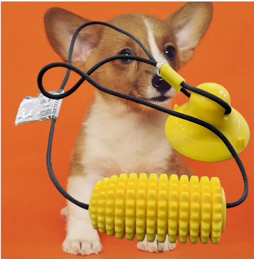 Pet Chew Toy