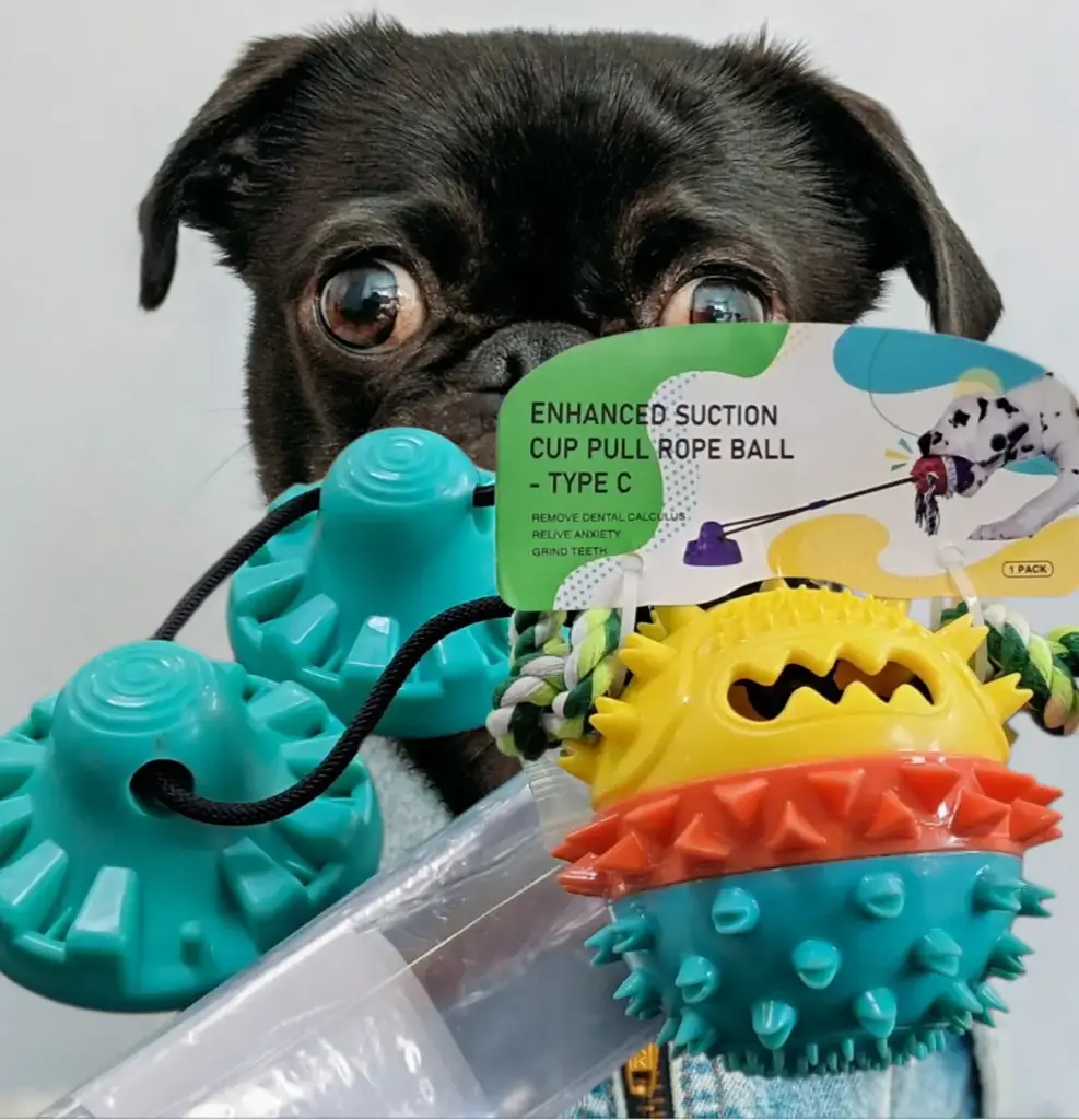Pet Suction Toy
