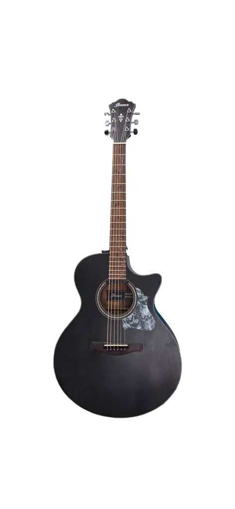Ibanez Ae295-Wk Acoustic-Electric Guitar