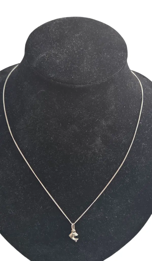 Silver Chain With Dolphin Pendant