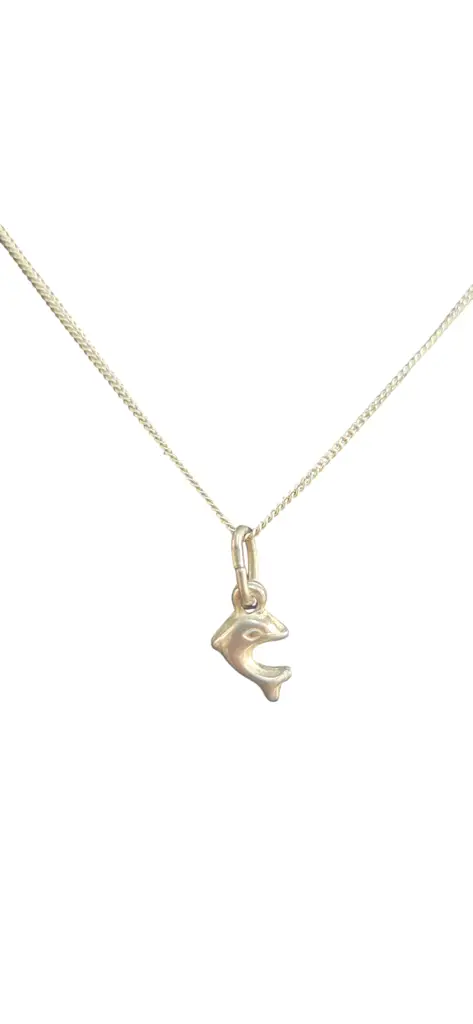 Silver Chain With Dolphin Pendant - View 2