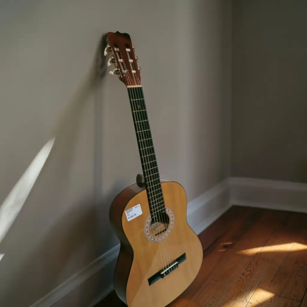 Johnson Guitar