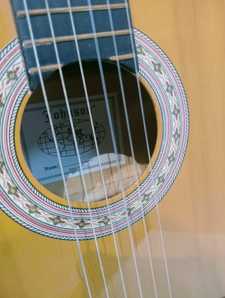 Johnson Guitar - View 2
