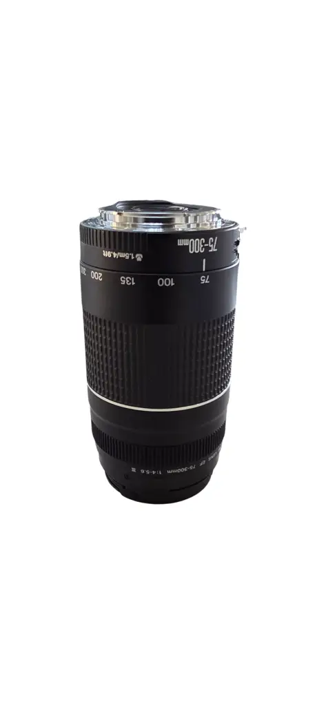 Canon Ef 75-300Mm F/4-5.6 Iii - View 3