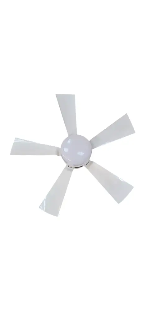Remote Control Ceiling Fan Light - View 2