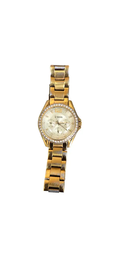 Fossil Woman’S Watch | Es3203